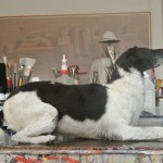 smudge-42